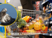 Голубь в супермаркете