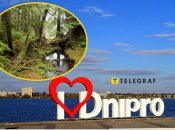 У Дніпрі сфотографували рідкісного птаха