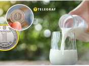 Молочка в Україні і Польщі у 2025