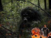 Бої за Україну продовжуються