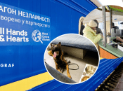 Вагоны несокрушимости