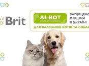 Штучний інтелект допоможе у догляді за котом чи собакою