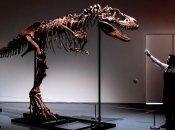 Динозавры вымерли больше 60 млн лет назад