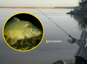 Украинец похвастался уловом