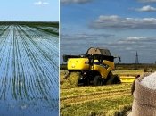 Хозяйство "Камолино-Холдинг"