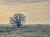 В Украину идет резкое похолодание: какой погоды ждать до конца месяца