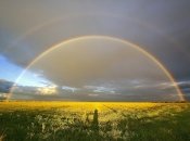 Июнь в Украине будет теплым, местами дождливым