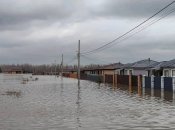 "Завербували бобрів за мільйон літрів кумису": у Росії звинуватили Казахстан у повені, у мережі сміються