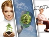 "Скрепная бабка": в сети ополчились на Тимошенко из-за блокирования медканнабиса