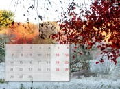 Календарь праздников на ноябрь 2022 года