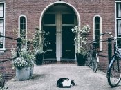 Дверь - портал между мирами