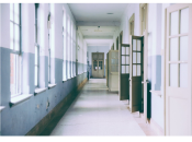 «Почему дети бегут из обычных школ»: 3 основные причины по мнению эксперта