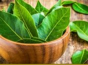 Лавровий лист допоможе усунути неприємні запахи та бактерії