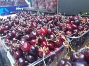 Черешня - одна из популярных ягод летом