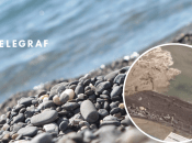 Коллаж "Телеграфа"