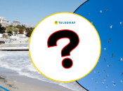 Птицы в Одесской области