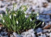 Какую погоду ожидать жителям столицы