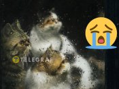 Конденсат на вікнах набридає