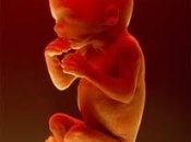 Можно ли делать инъекции плоду?