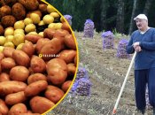 Олександр Лукашенко