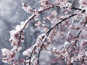 Погода у квітні неприємно здивує