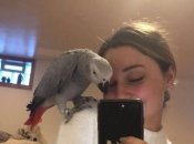 Попугай со своей "человеческой сестрой".