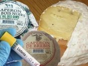 Новые детали скандала: что произошло с французским сыром, привезенным в Киев со смертельно опасной бактерией