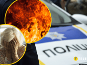 Пенсионерка задержана