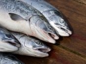 На кухні буде приємно пахнути