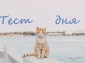 Ворожіння по картинці