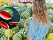 Як вибирати кавун