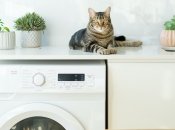 Відключати потрібно коли надовго їдете, коли гроза та коли є перебої з електрикою