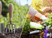 Час квітучих садів і солов’їного співу