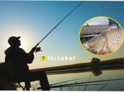 В Киевской области выловили гигантскую рыбу