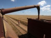 путин выдвинул условия возвращения россии в зерновую сделку: их аж шесть пунктов