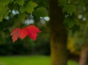 Жара вернется, но погода готовит неприятный сюрприз: когда в Украину придут холода