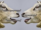 Називаємо поширені помилки в українській мові та пояснюємо, як їх виправити