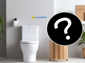 Тренд став особливо популярним останнім часом