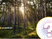 На Хортице заметили милого гостя