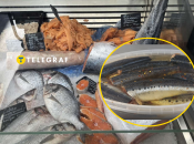 Колись звичний продукт вже не знайдеш на полицях рибних магазинів
