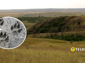 Колаж, "Телеграф"