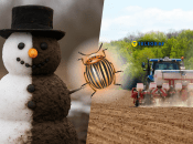 Колорадський жук