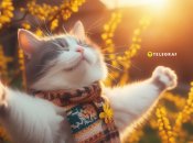 Тепло йде до Львова