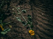 Одна из работ украинского фотографа