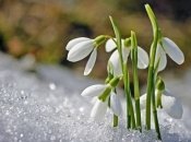 Погода в Киеве будет колебаться от -10 до +22 градусов