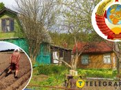 Коллаж "Телеграф"