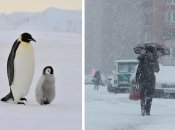 Ця тактика допоможе уникнути травмування