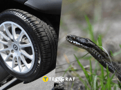 Змея заползла под машину