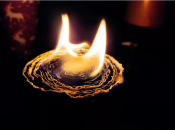 Защитника вспоминают не только за мужество, но и за исключительную доброту ко всему живому