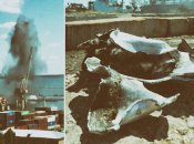 Корабль видите? А если найдем?